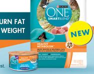 Purina ONE SmartBlend