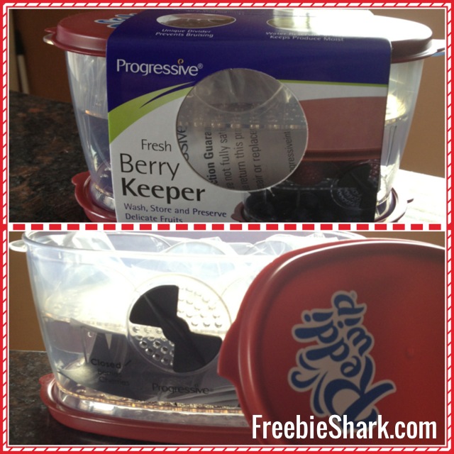 My FREE Reddi Wip Berry Keeper Arrived (9.49 Value)!