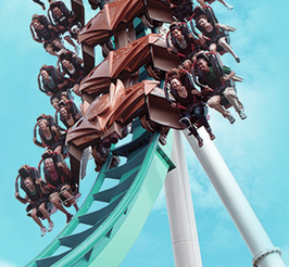Roller Coaster Cedar Fair