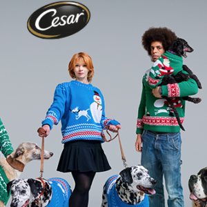 screen-shot-2016-12-03-at-6-31-29-pm