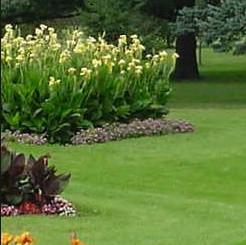 Target: $5 off $20 Lawn & Garden Purchase (Mobile) | FreebieShark.com