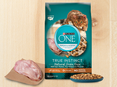 Purina cat food samples hot sale